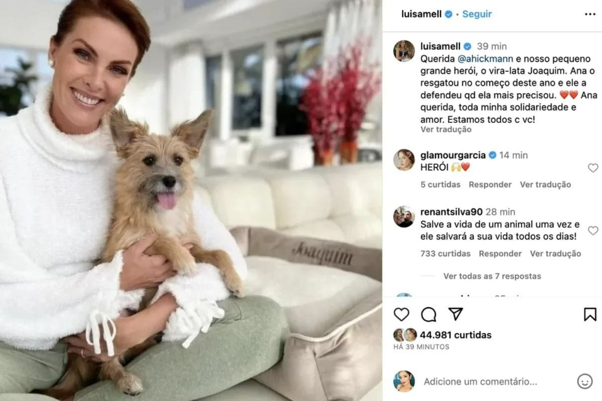 Publicação de Luisa Mell 